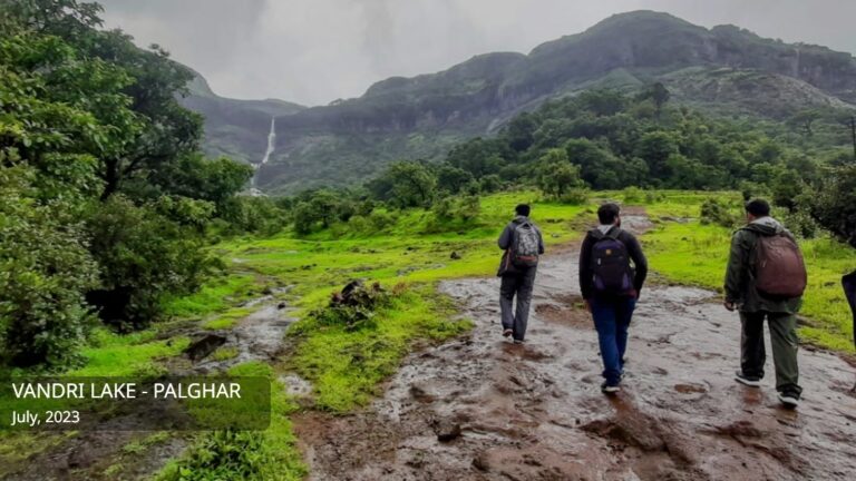 Monsoon trek to Harishchandra Gad